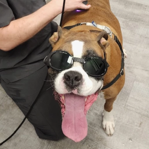 Laser Therapy