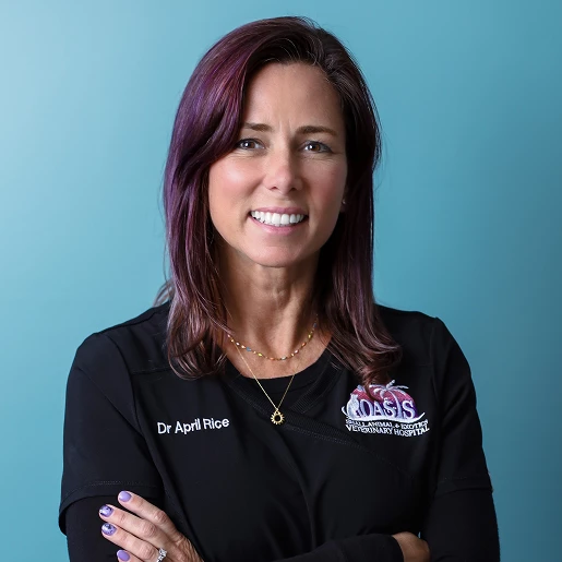 Dr. April Rice